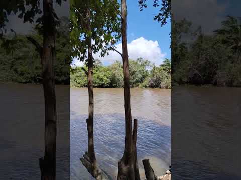 RIO JUCURUÇU PRADO BAHIA BRASIL