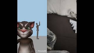 Download lagu #memes #cat #animation #talkingtom #edit #skibiditoilet #live #funny  #lives #viral mp3