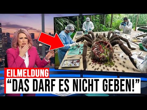 THIS MONSTER SPIDER REALLY LIVES – and the SHOCKING TRUTH is WORSE than any LEGEND!