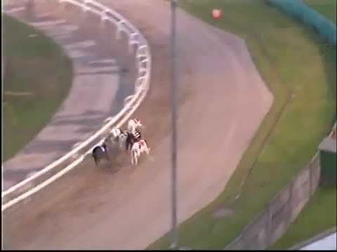 Curalina at monmore green