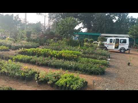 arshiya laxmipuram flower garden visiting 2024