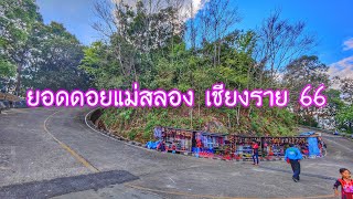 Download lagu Update the route to the top of Doi Mae Salong, Chiang Rai (route to see the market and Phra That ... mp3