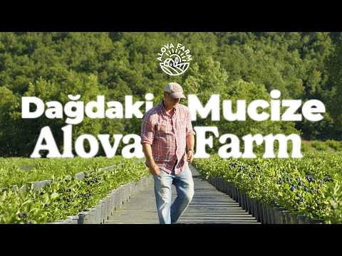 Video onizleme