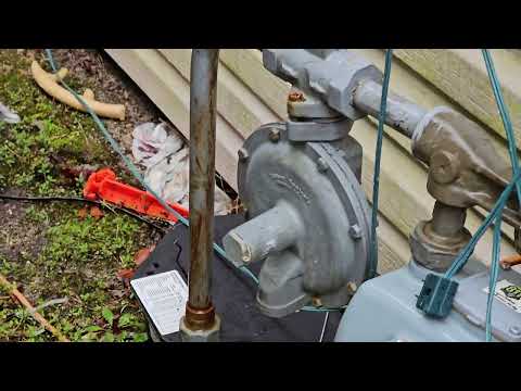 Mouse Found Under the Kitchen Sink in Toms River, NJ