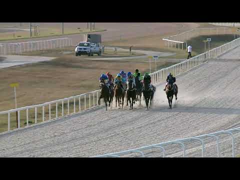 2019.10.20. 08. futam - NYERETLENEK VERSENYE (V.kat.) (szintetikus pálya)