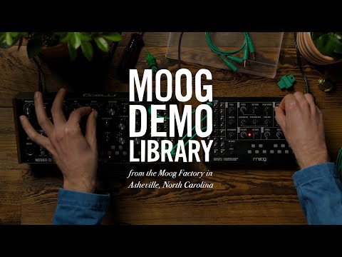 Moog Mavis | How to Integrate with Mother-32, DFAM & Subharmonicon