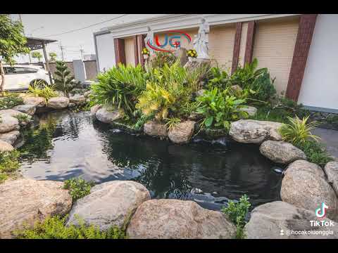 Hồ Koi độc đáo ( 2 hồ chung 1 hệ lọc trong khuân viên công ty)