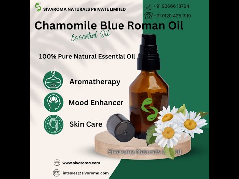 Blue Chamomile Essential Oil