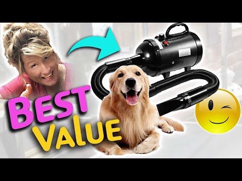 Neuer Tiertrockner mit UNGLAUBLICHEM PREIS und LEISTUNG