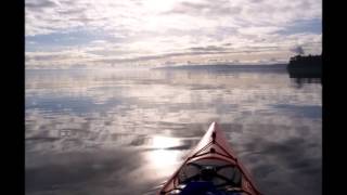 Only the Ocean