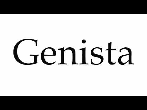 How to Pronounce Genista