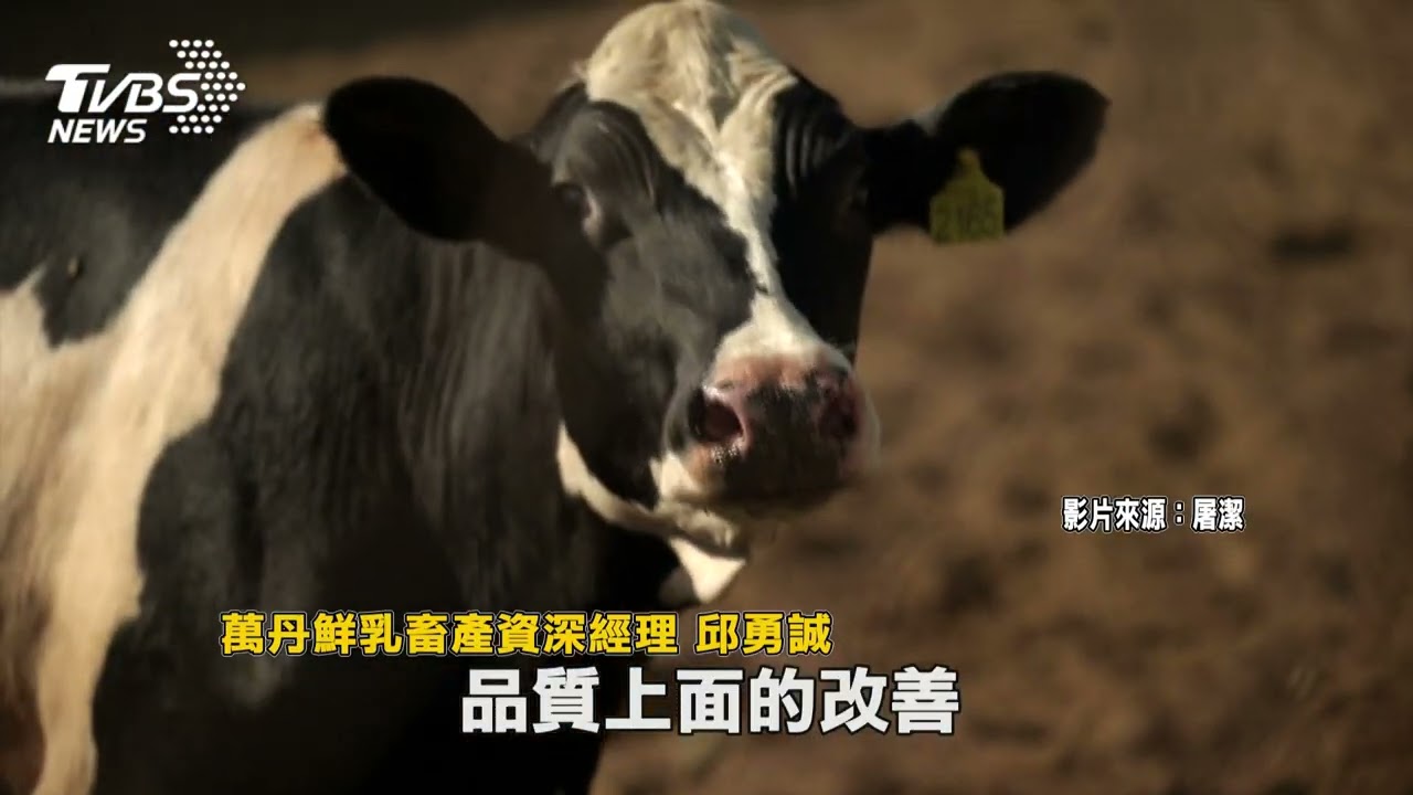 萬丹酪農世代傳承 鮮乳獲國際金獎肯定