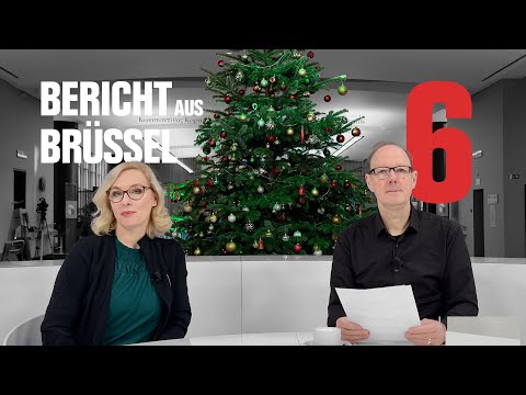 Video Thumbnail: Martin Sonneborn: Bericht aus Brüssel 6 - Fake Fleisch, Völkermord, Austritte bei den Grünen