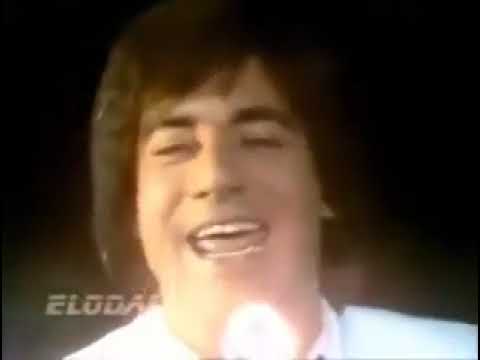 Ringo Willy Cat    Allo a l'ovni 1980