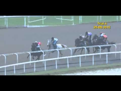 Super One Barrier Trial 25/08/2015