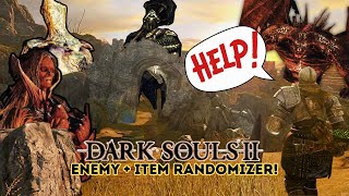 BOSSES ARE EVERYWHERE  Enemy + Item Randomizer VOD: Part 1