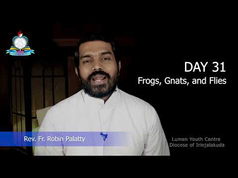 Day 31 l Frogs, Gnats, and Flies I പുറപ്പാട് 8, ലേവ്യര്‍ 6, സങ്കീര്‍ത്തനങ്ങള്‍ 48