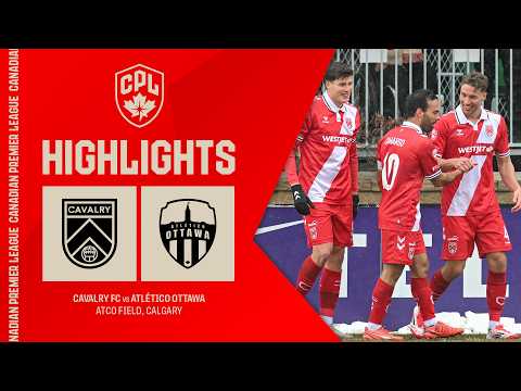 bg-highlight