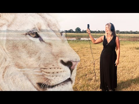 LAND OF THE WHITE LIONS - Live Song With The Earth