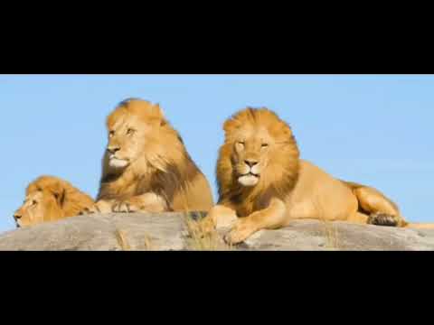 @OGDurbanPoison , Theo ft Zonke - Thinking about you