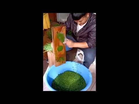 The best workers, unique products #Shorts