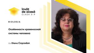 "Особенности кровеносной системы человека"