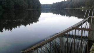 Reamonn - Sunshine Baby