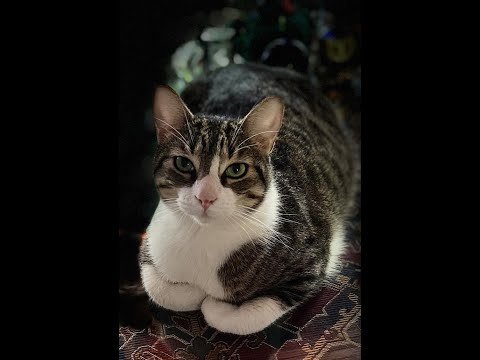 "Full Circle" - The Story of Maki in Photos by Karima Hoisan