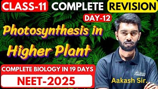 Photosynthesis in Higher Plant, Biology Class-11 One sort | Complete Revision & PYQ | NEET --2025