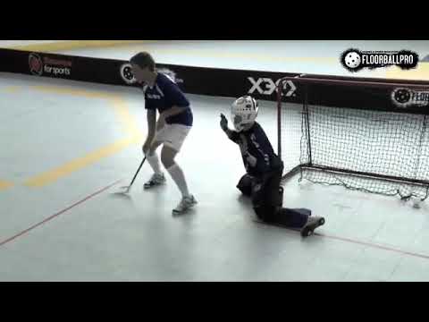 Floorball Rules   GOALTENDING