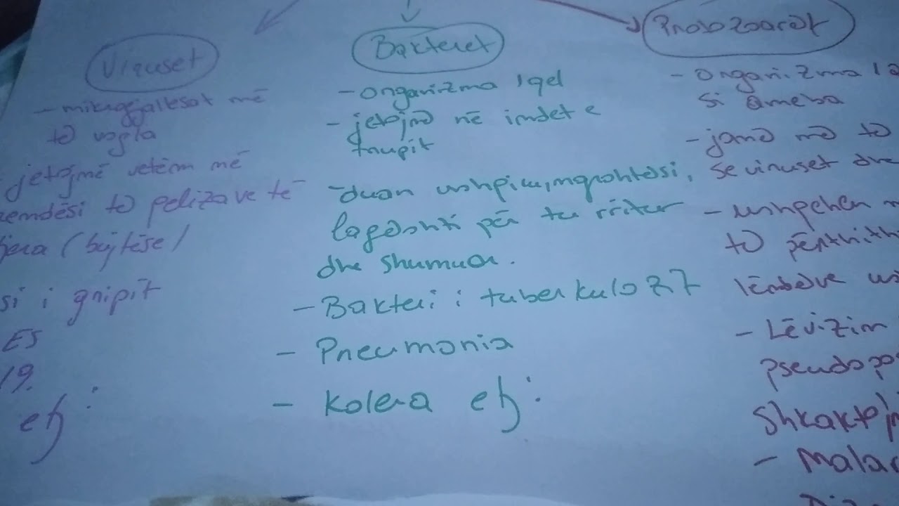 Biologji 7 Mikrogjallesat dhe klasifikimi