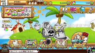 ひよここ競争のガチャ回し！