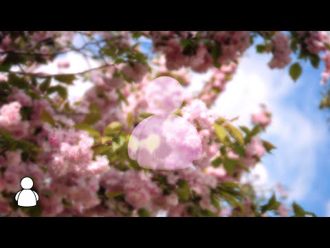 nomark - Vsak Dan (Official Music Video)