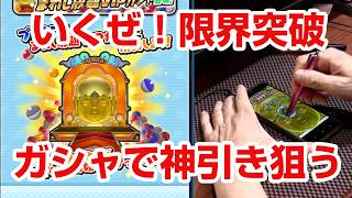 【ぷにぷに攻略】ガシャで勝負に出る！話増し放題VIPガシャ おはじき SAOコラボイベント
