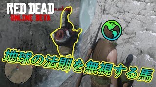 【RDO】地球の法則を無視し始める馬#91【RED DEAD REDEMPTION 2】