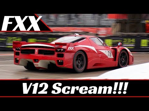 Thumbnail for Ferrari FXX Evoluzione and its SCREAMING V12 engine!!! - Motor Show Bologna 2017 by Ferrari FXX Evoluzione