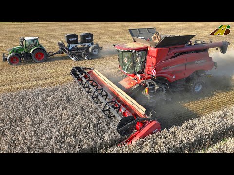Weizenernte 2023 Mähdrescher Case IH Fendt Traktor Direktsaat NO-Till Combine Harvester Wheat farmer