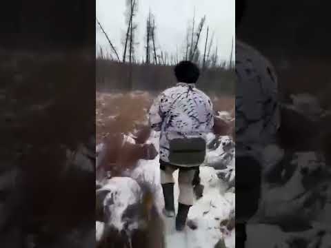 В Якутии по факту незаконной охоты с вертолёта возбудили уголовное дело