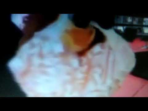 SuperXclusivo Theme Song (Fast)