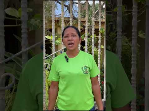 OSPINO PORTUGUESA VENEZUELA YONGEIBY YÉPEZ ALCALDE