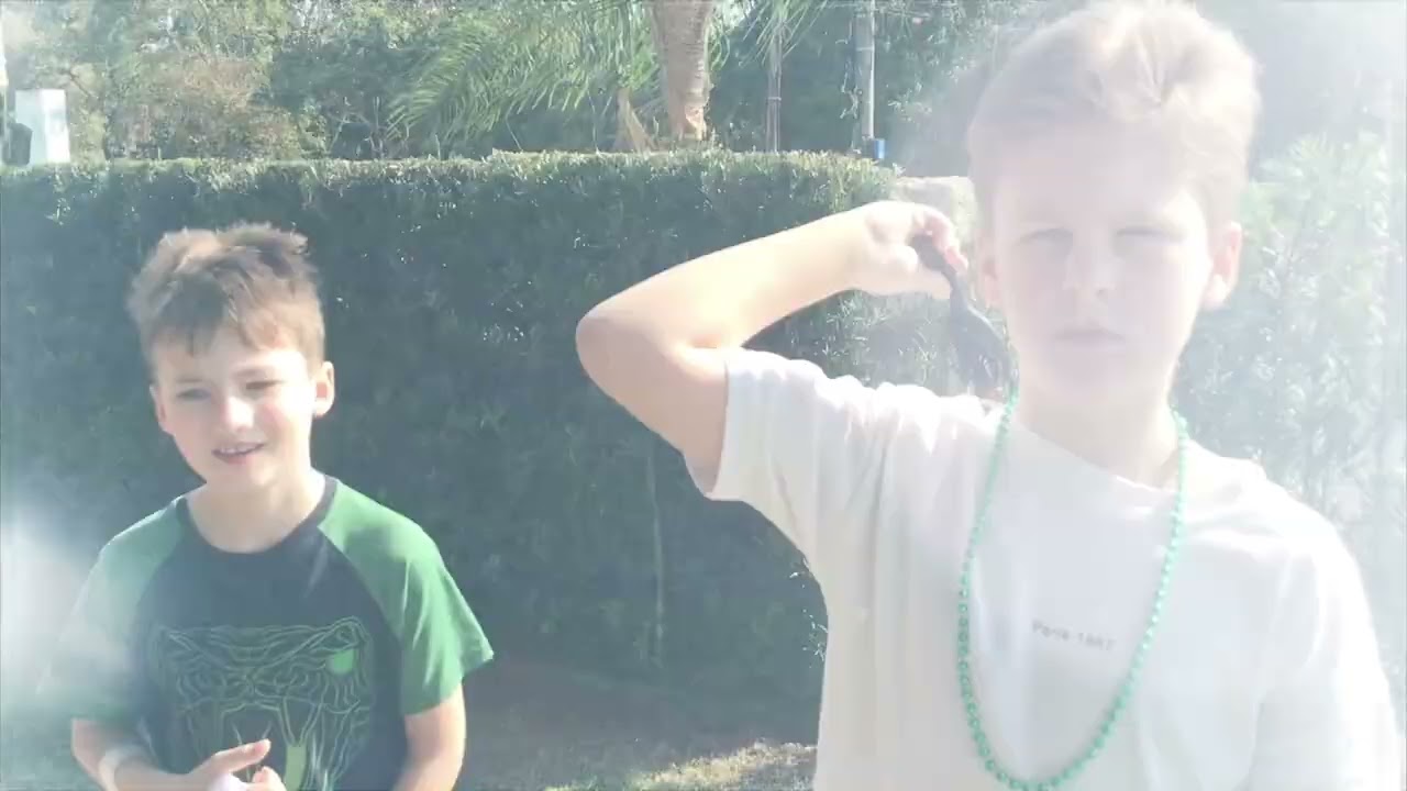 A Guerra dos Diamante Vivos