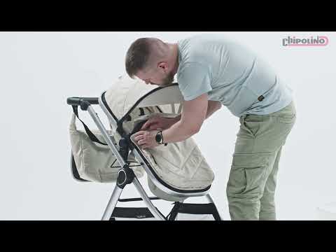 Carucior Chipolino Vista 2 in 1