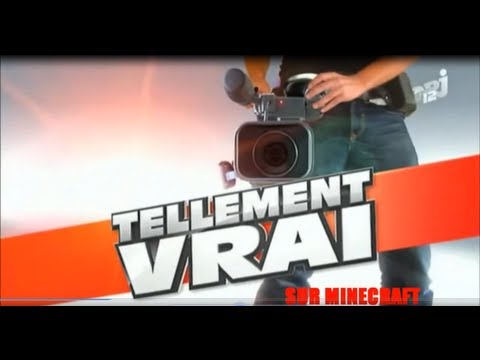 Parodie TELLEMENT VRAI sur MINECRAFT #1