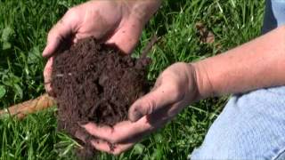 Biochar for Restoration in The Intermountain West