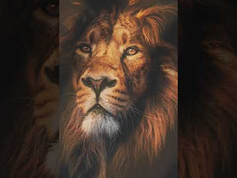 Hans Zimmer - Reflections of Mufasa | Eyeoji #shorts