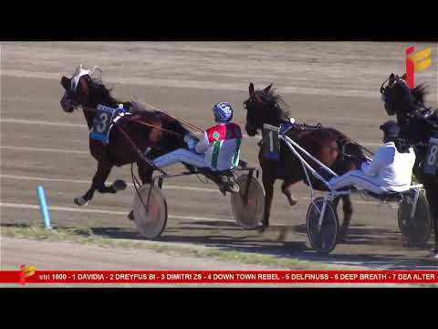 IV Corsa del 25 marzo 2023 - 4 Anni - Metri 1600 - Gentlemen