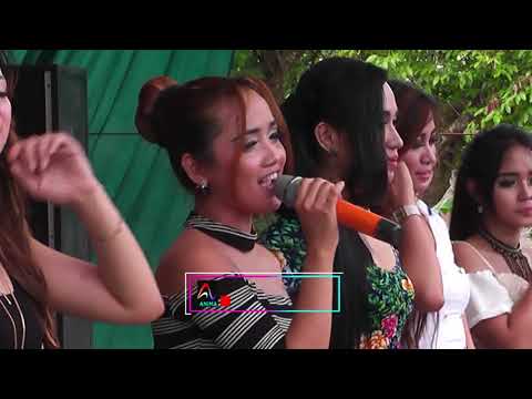 PHP - All Artist Romansa / Romansa bhara extreme anniversary 2017