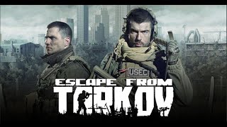 【EFT】ワイプ始めました