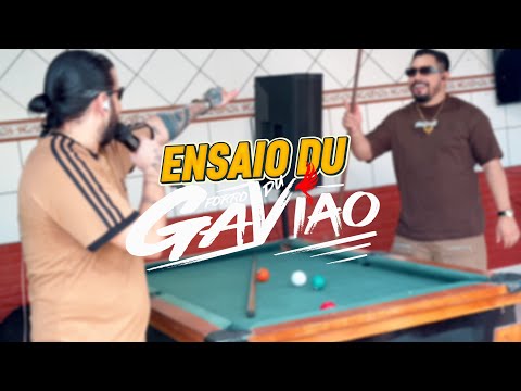 ENSAIO DU GAVIÃO - AUDIO VISUAL 2025