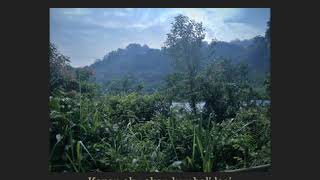 Download lagu Story wa dewa 19 kangen mp3